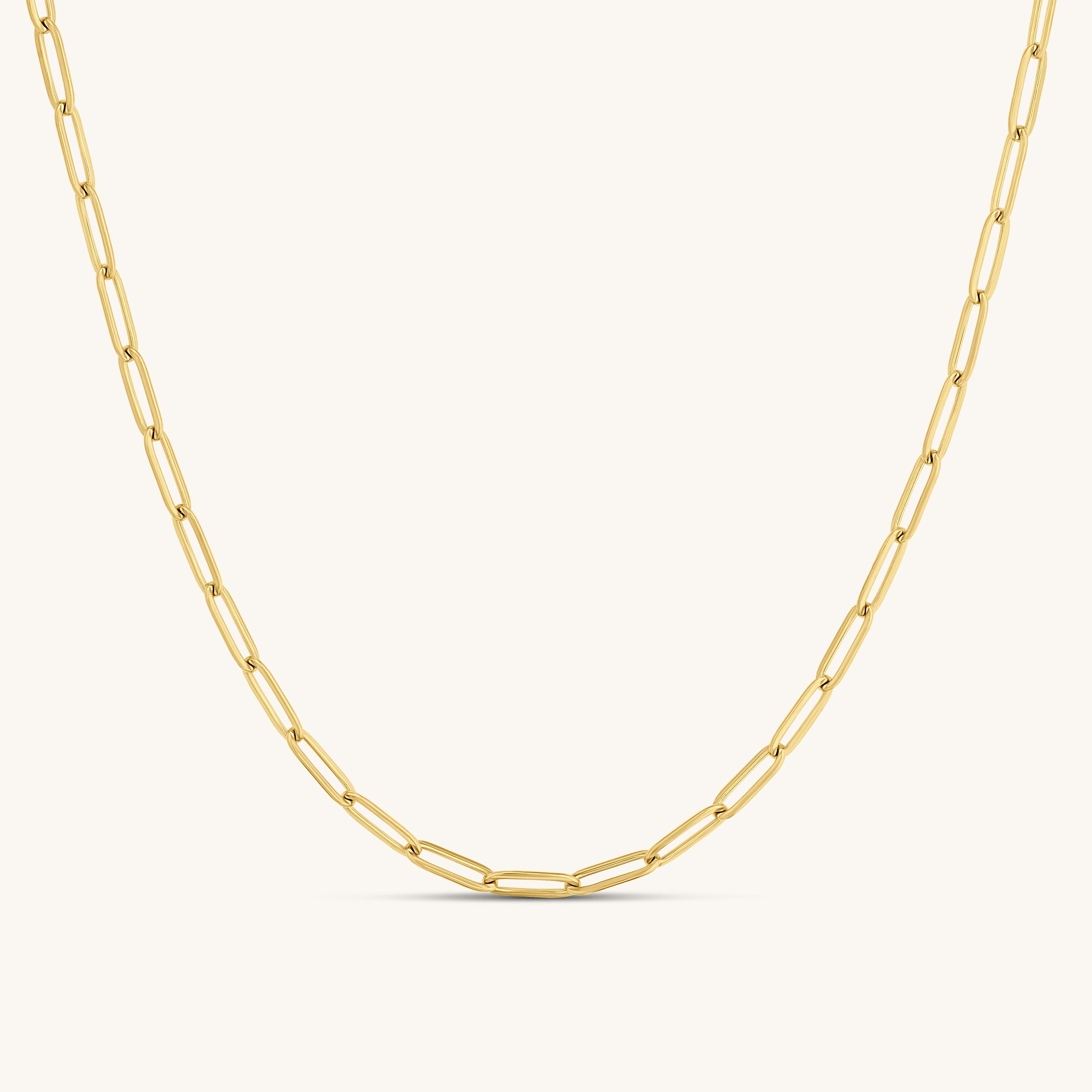 Paperclip Necklace
