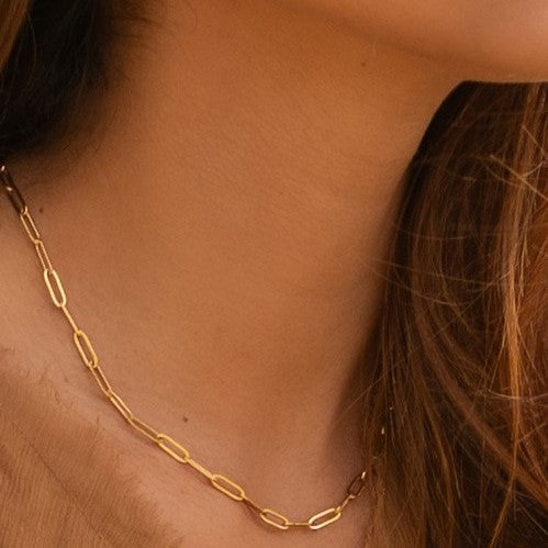 Paperclip Necklace on Model